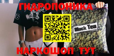 мдпв Новозыбков
