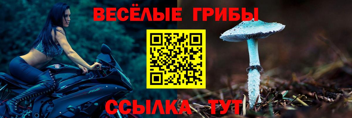 Петрозаводск  Псилоцибиновые грибы MAGIC MUSHROOMS  Вход с VPN 